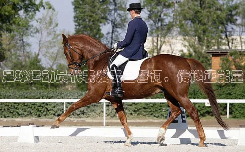 南宫ng28官网入口最新版本小米足球运动员代表发表宣誓词，传递正能量