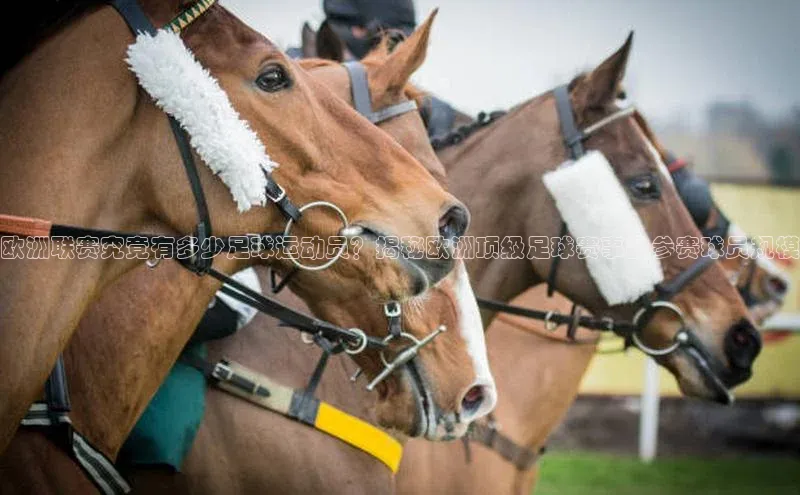 NG·28官网金山办公欧洲联赛究竟有多少足球运动员？揭秘欧洲顶级足球赛事的参赛球员规模