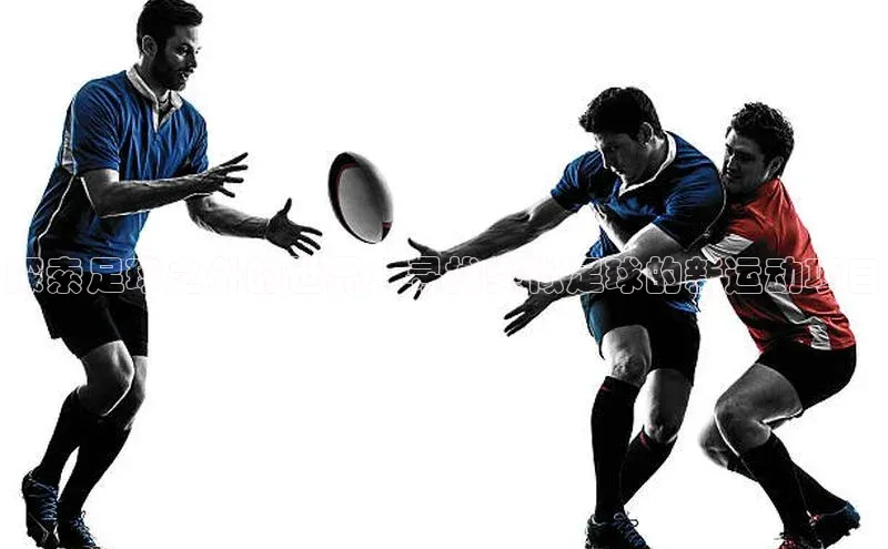 南宫28娱乐官网百度网盘探索足球之外的世界：寻找类似足球的新运动项目