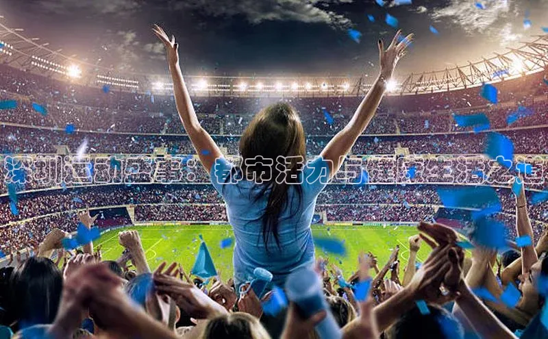 深圳运动盛事：都市活力与健康生活之道