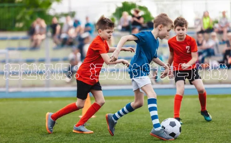 超越极限：运动的魅力与挑战