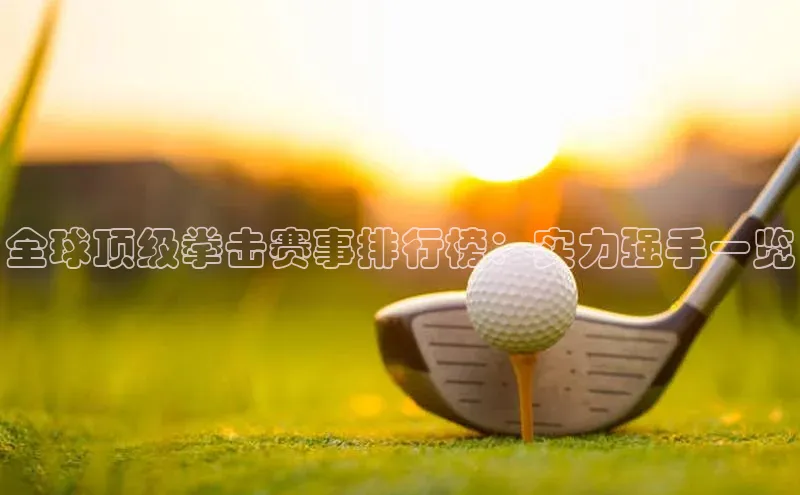 全球顶级拳击赛事排行榜：实力强手一览