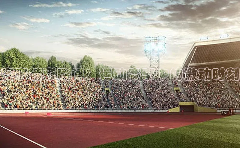 赛事精彩瞬间：运动赛事中的激动时刻