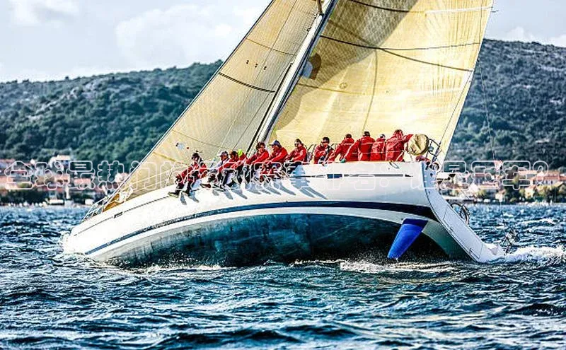 全球最热门的运动赛事排名：谁是冠军？