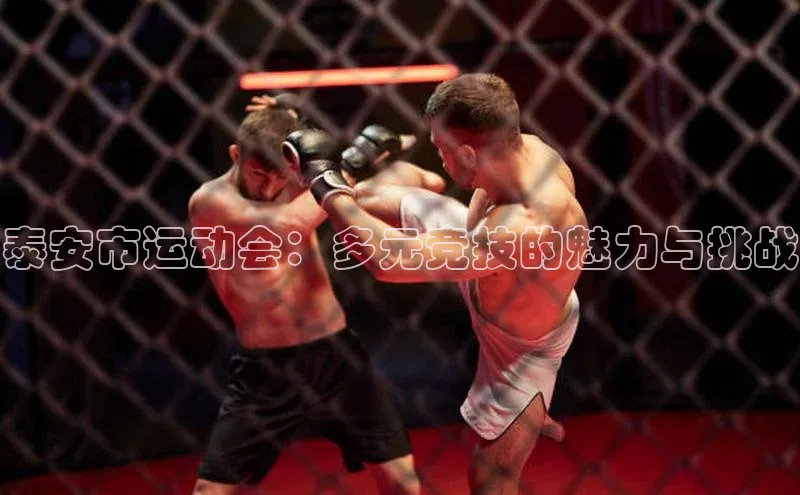 泰安市运动会：多元竞技的魅力与挑战