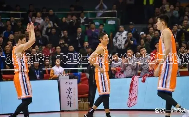 飞跃巅峰：大型运动赛事的奇迹与挑战