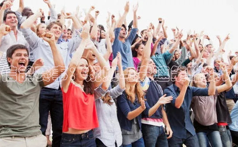 信鸽赛事：规则与竞速策略探讨