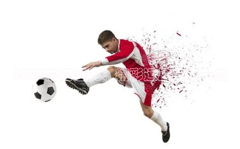 2023沈阳近况：精彩运动赛事一览