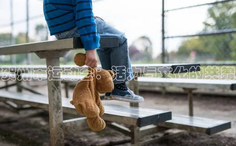 贺州市运动会：活力与文化的共舞