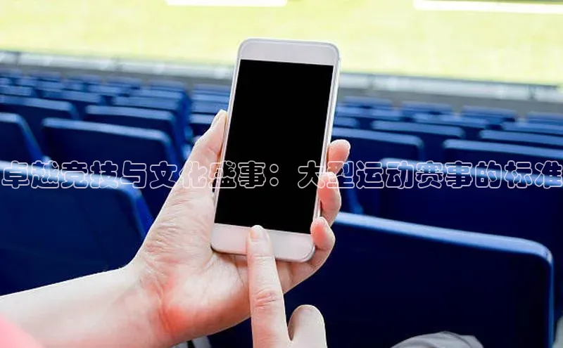 卓越竞技与文化盛事：大型运动赛事的标准