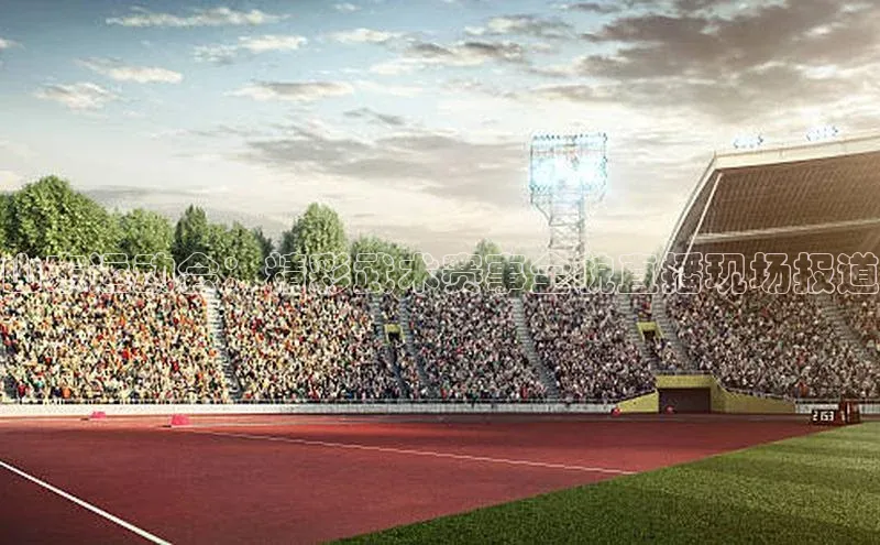 山东运动会：精彩武术赛事全貌直播现场报道